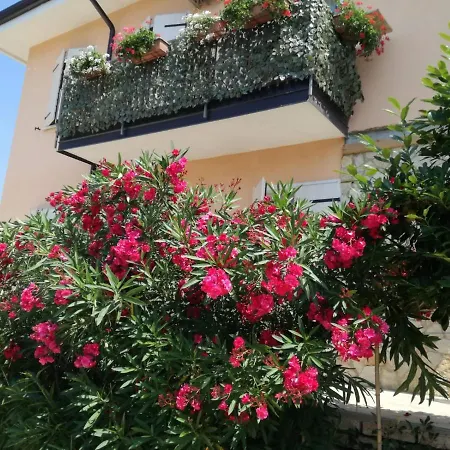 La Magnolia